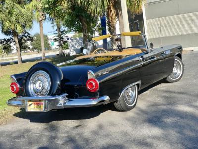 1956 Ford Thunderbird