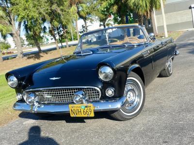 1956 Ford Thunderbird