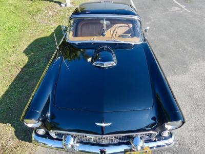 1956 Ford Thunderbird