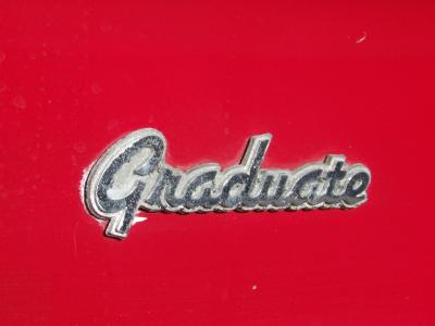 1986 Alfa Romeo Spider Graduate