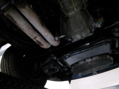 1986 Alfa Romeo Spider Graduate