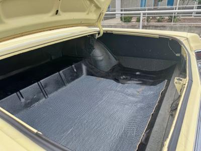 1965 Pontiac GTO Coupe