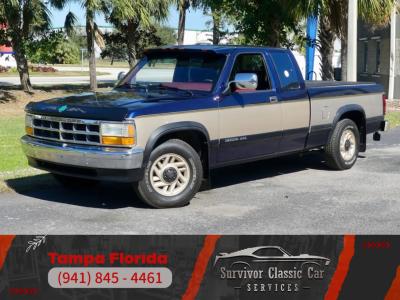 1993 Dodge Dakota LE Extended Cab