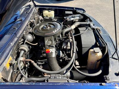 1993 Dodge Dakota LE Extended Cab