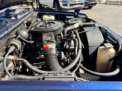 1993 Dodge Dakota LE Extended Cab