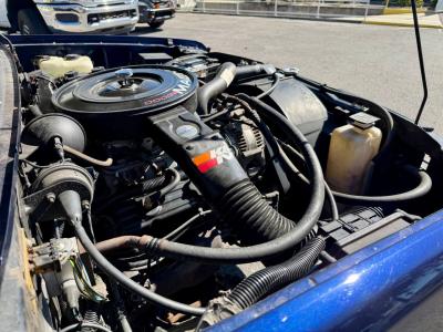 1993 Dodge Dakota LE Extended Cab