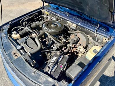 1993 Dodge Dakota LE Extended Cab