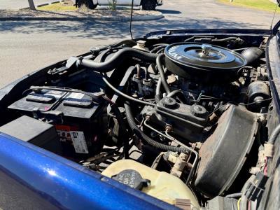 1993 Dodge Dakota LE Extended Cab