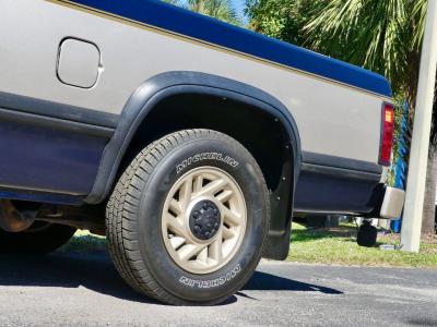 1993 Dodge Dakota LE Extended Cab
