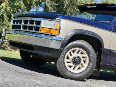1993 Dodge Dakota LE Extended Cab