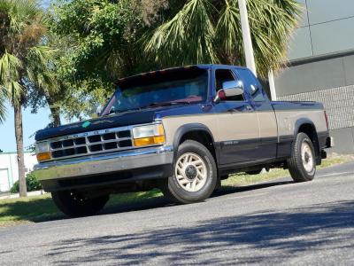 1993 Dodge Dakota LE Extended Cab