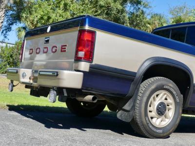 1993 Dodge Dakota LE Extended Cab