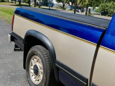 1993 Dodge Dakota LE Extended Cab