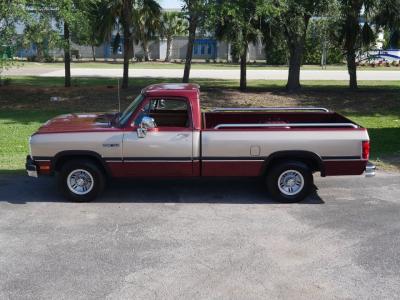 1992 Dodge Ram D-150 LE