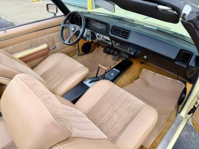 1969 Buick Skylark Custom Convertible