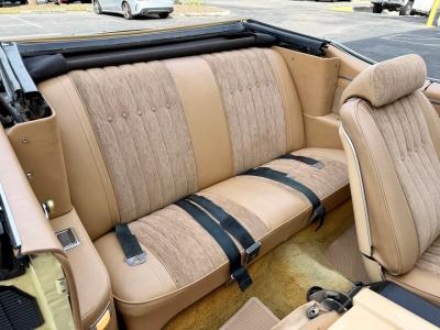 1969 Buick Skylark Custom Convertible