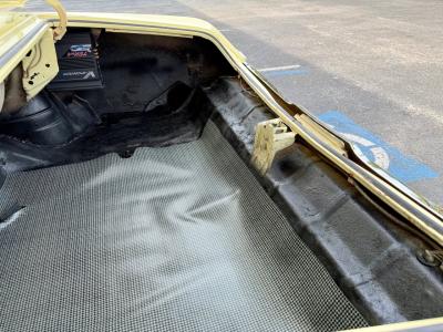 1969 Buick Skylark Custom Convertible