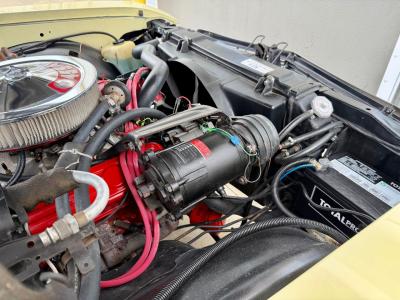 1969 Buick Skylark Custom Convertible