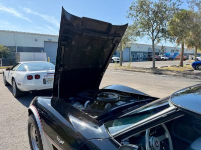 1978 Chevrolet Corvette Indianapolis 500 Pace Car