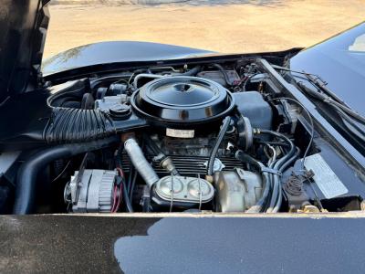 1978 Chevrolet Corvette Indianapolis 500 Pace Car