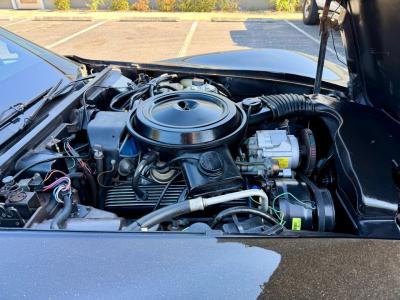 1978 Chevrolet Corvette Indianapolis 500 Pace Car
