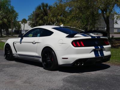 2020 Ford Mustang GT350R Heritage Edition