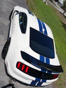 2020 Ford Mustang GT350R Heritage Edition