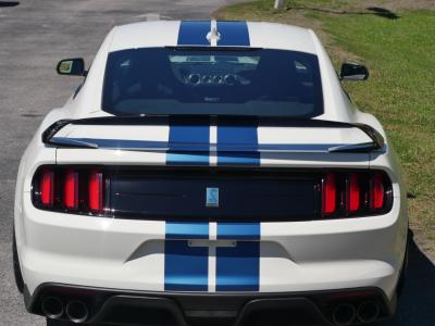 2020 Ford Mustang GT350R Heritage Edition