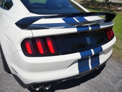 2020 Ford Mustang GT350R Heritage Edition