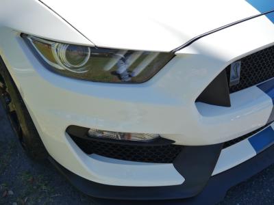 2020 Ford Mustang GT350R Heritage Edition