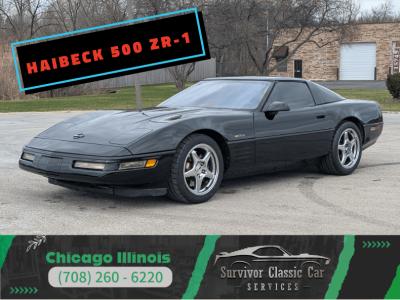 1991 Chevrolet Corvette ZR-1 Haibeck 500