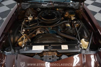 1981 Chevrolet Camaro Z28