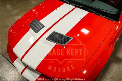2007 Ford Shelby GT500