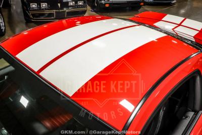 2007 Ford Shelby GT500