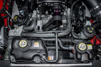 2007 Ford Shelby GT500