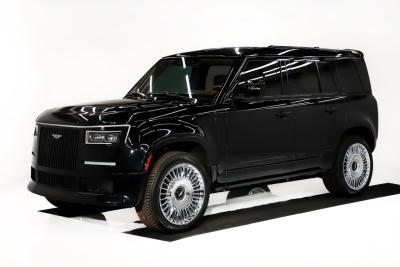 2020 Land Rover Defender Dolus