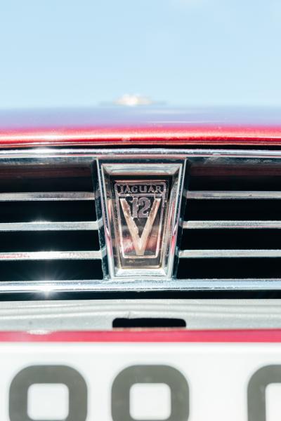 1991 Jaguar XJS Le Mans