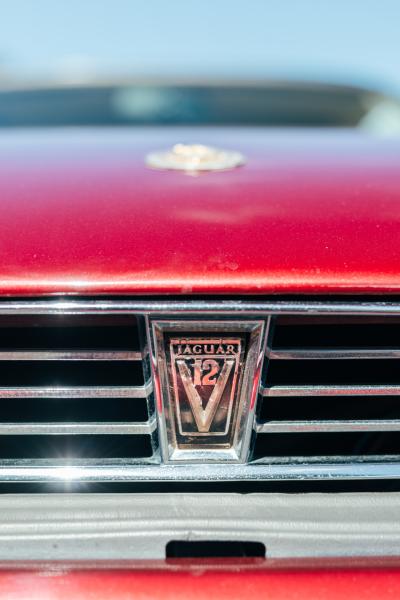 1991 Jaguar XJS Le Mans