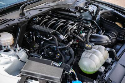 2021 Ford MUSTANG MACH 1 AUTOMATIC