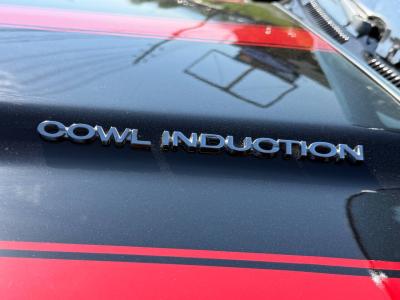 1971 Chevrolet Chevelle