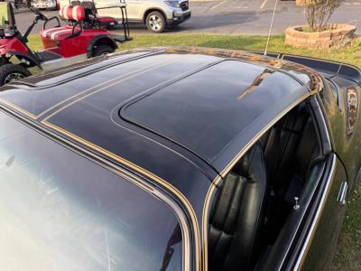 1977 Pontiac Trans Am