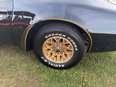 1977 Pontiac Trans Am