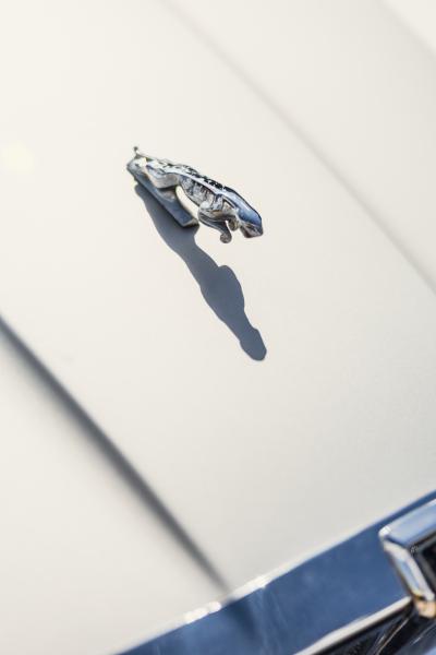 1982 Jaguar XJ6 S3 (4.2 litre)