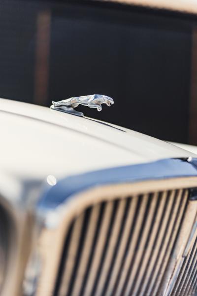 1982 Jaguar XJ6 S3 (4.2 litre)