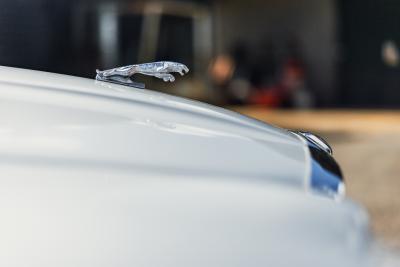 1982 Jaguar XJ6 S3 (4.2 litre)