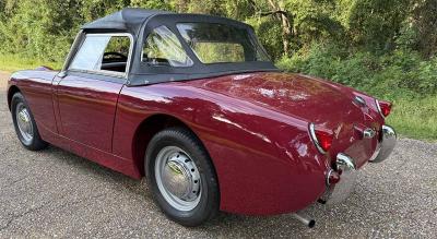 1961 Austin - Healey Sprite