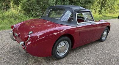 1961 Austin - Healey Sprite