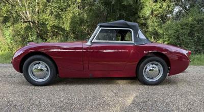 1961 Austin - Healey Sprite