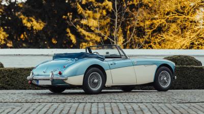 1965 Austin - Healey 3000 Mk III BJ8