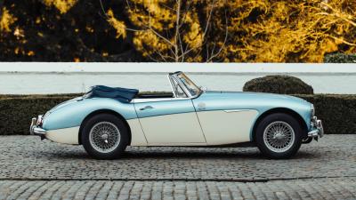 1965 Austin - Healey 3000 Mk III BJ8